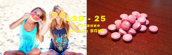 амф Алексин