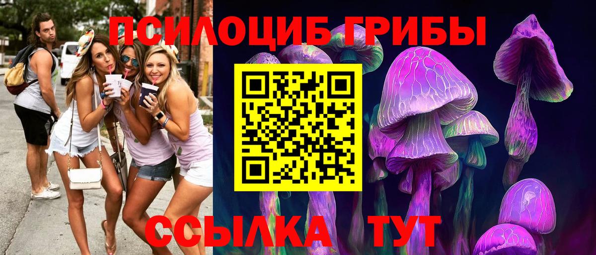Махачкала  купить закладку  Вход с VPN  Псилоцибиновые грибы ЛСД 