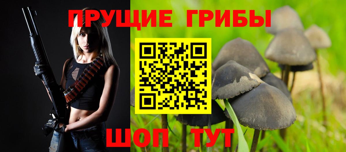 Псилоцибиновые грибы GOLDEN TEACHER Махачкала